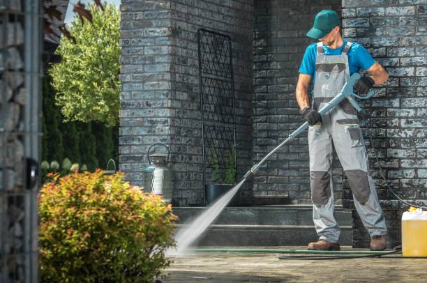 Best Fence Cleaning  in Wamac, IL